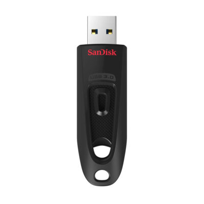 SanDisk 256GB