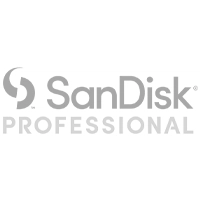 SanDisk Professional