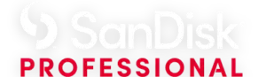 SanDisk Professional