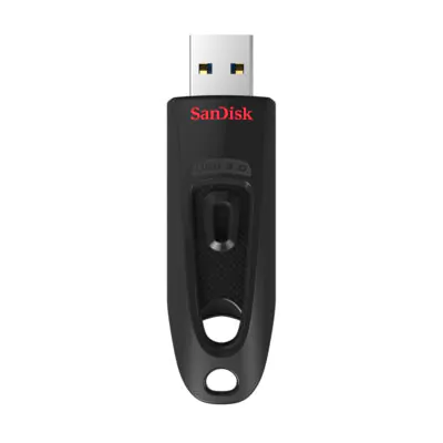 SanDisk 256GB